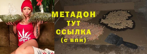 прущие грибы Вязьма